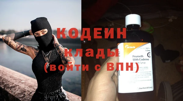 шишки Балахна