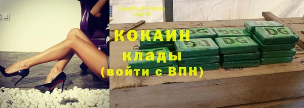 шишки Балахна