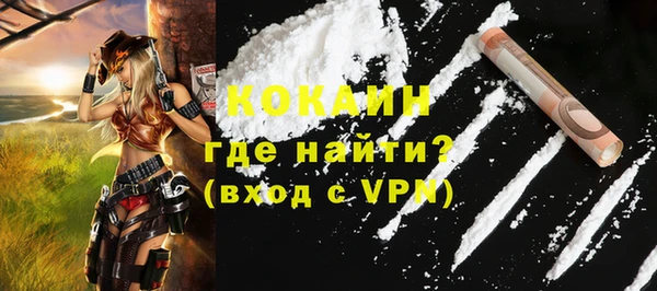 шишки Балахна