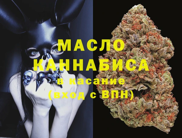 крисы Кулебаки
