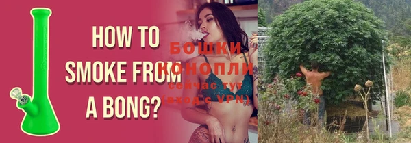 шишки Балахна